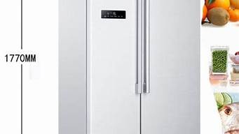 海尔双门冰箱尺寸及价格_海尔双门冰箱尺寸