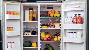 冰箱什么品牌最好冰箱双开门_冰箱什么品牌