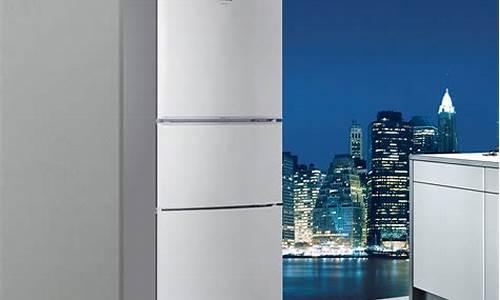 海尔和西门子电冰箱哪个好_海尔和西门子电