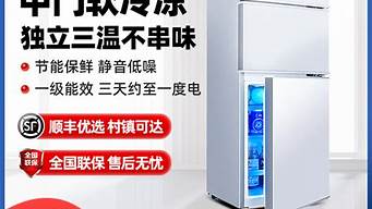 新飞电冰箱 双门_新飞电冰箱 双门怎么开
