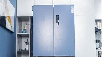 冰箱什么牌子好又省电质量又好的_冰箱什么牌子好又省电质量又好的