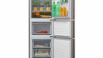 长岭冰箱bcd228b是哪年生产的_长岭bcd-228冰箱参数