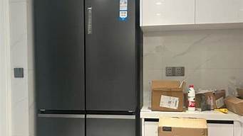 海尔冰箱质量怎么样排名如何_海尔冰箱质量怎么样,排名如何